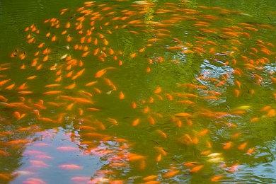 灵丝风暴削弱 十字绣加强！ 《丝之歌》过渡补丁上线